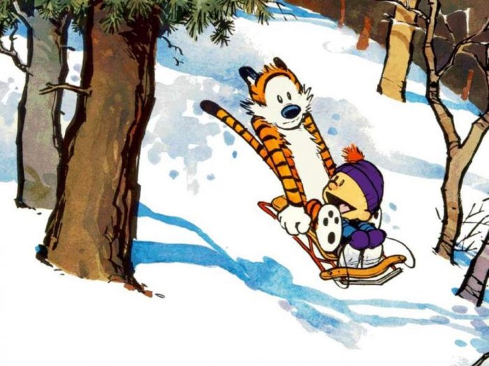 Calvin & Hobbes 2