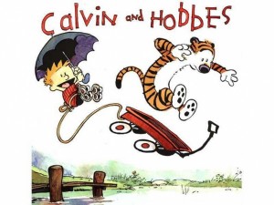 Calvin & Hobbes, Ediciones B