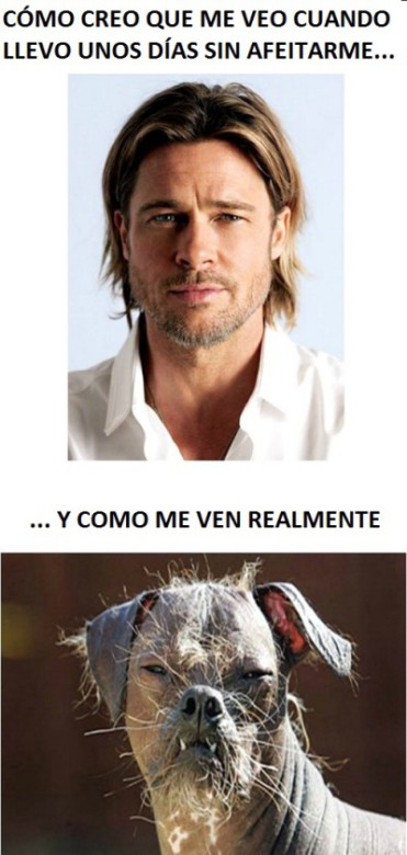 BRAD-PITT-SIN-AFEITAR