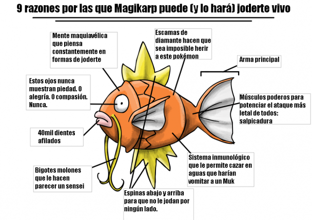 magikarp-es-un-pokemon-letal