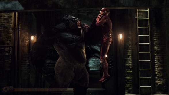 Gorilla Grodd - The Flash