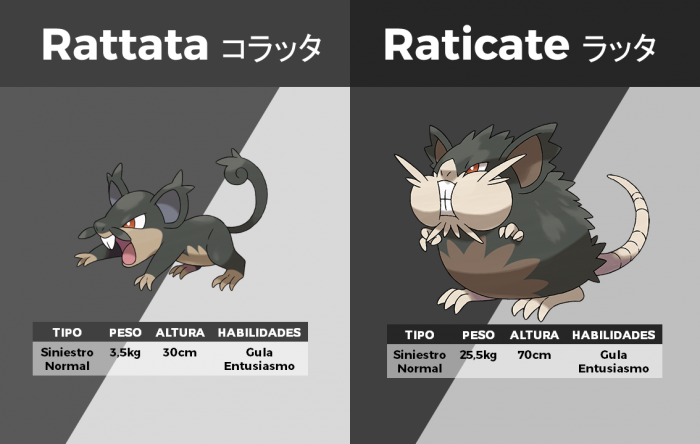 Rattata y Raticate