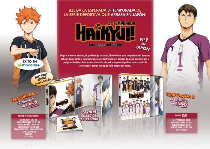 Haikyu!!, Selecta Vision