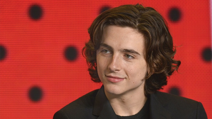 batman beyond timothee chalamet