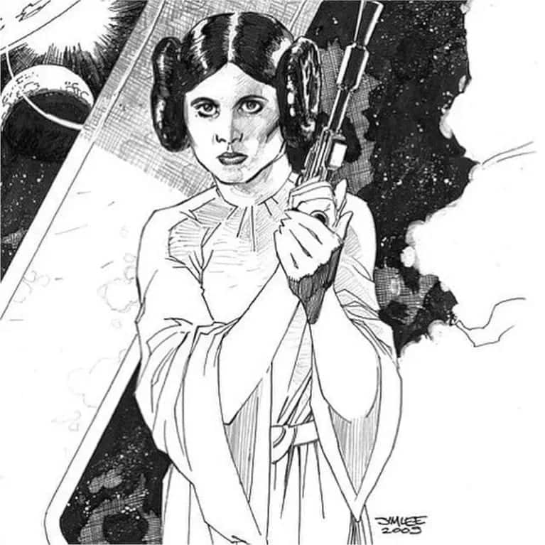 Star Wars Leia