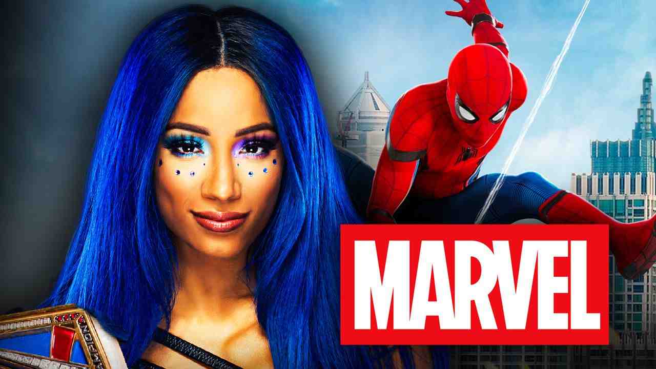 El Muerto La Diva De La WWE Sasha Banks En El Punto De Mira Del Spin