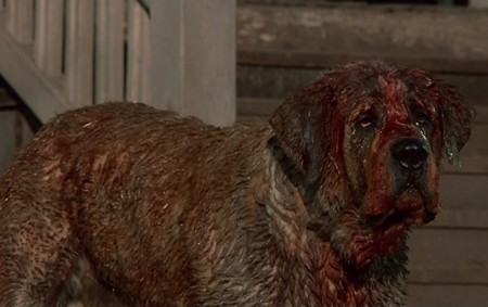 Cujo, Darren Aronofsky, Netflix, Noticias Cine, Stephen King