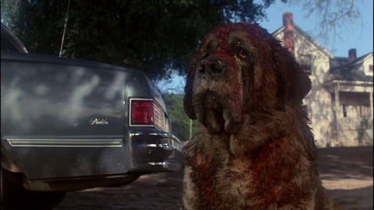 Cujo, Darren Aronofsky, Netflix, Noticias Cine, Stephen King