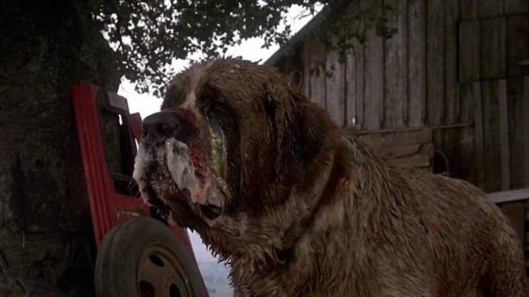 Cujo, Darren Aronofsky, Netflix, Noticias Cine, Stephen King