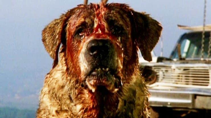 Cujo, Darren Aronofsky, Netflix, Noticias Cine, Stephen King