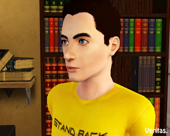 The Big Bang Theory versión The Sims