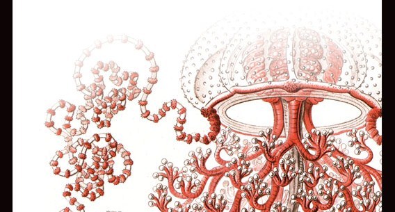 Solaris de Stanislaw Lem de la editorial Impedimenta