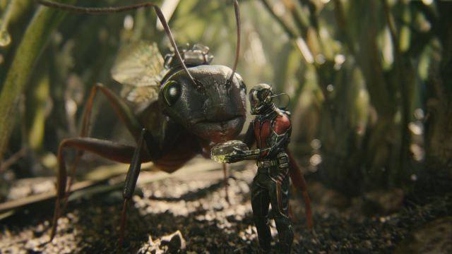 Ant-Man - Anthony