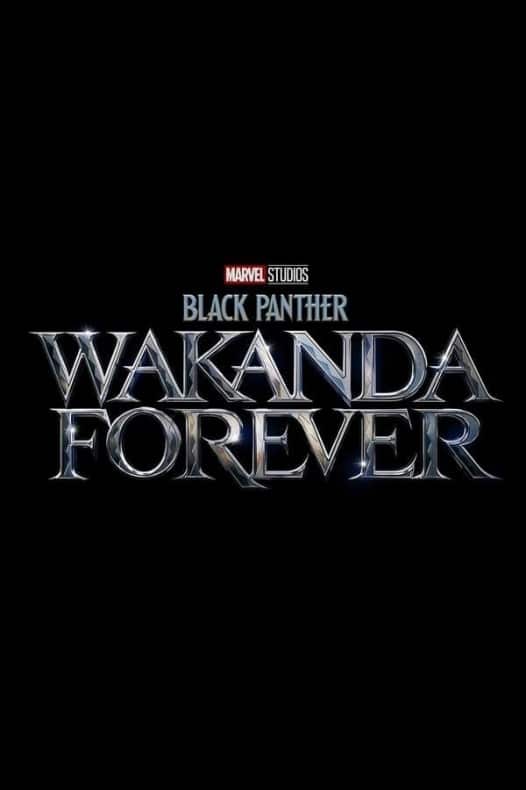 Black Panther - Wakanda Forever