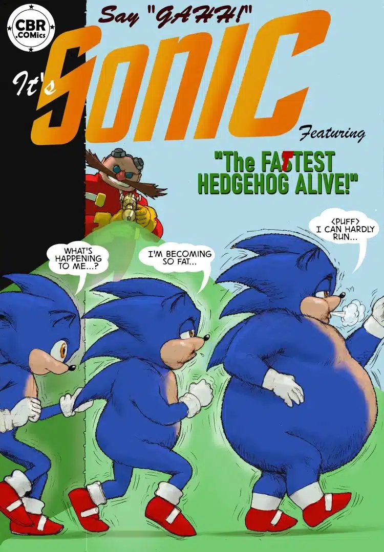 Sonic homenaje 1