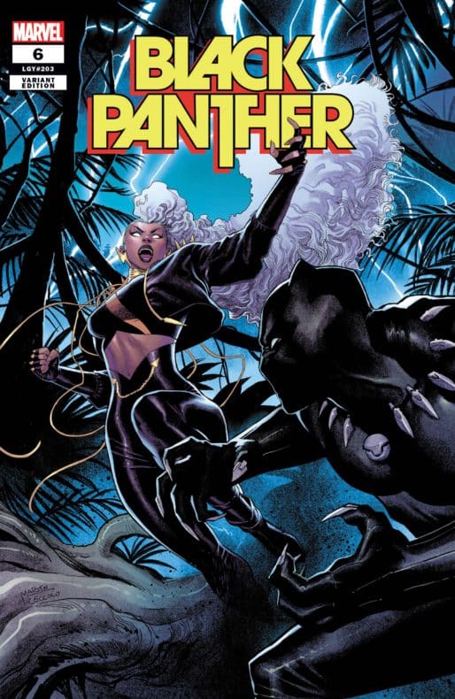 black panther pantera negra tormenta