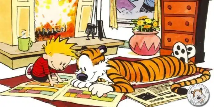 Calvin and Hobbes