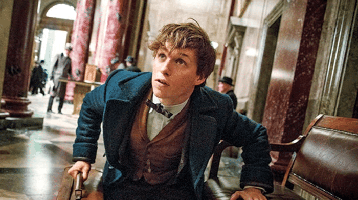 Animales Fantásticos, David Yates, Fantastic Beasts, Harry Potter, saga en pausa, Warner Bros