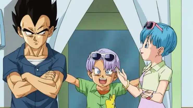 Dragon Ball Z, Vegeta Family, Saiyan Prince, Vegeta Transformation, Vegeta