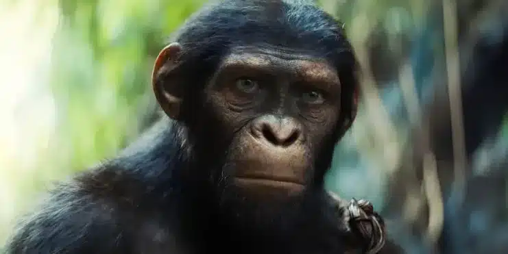 Planet of the Apes, Kingdom of the Planet of the Apes