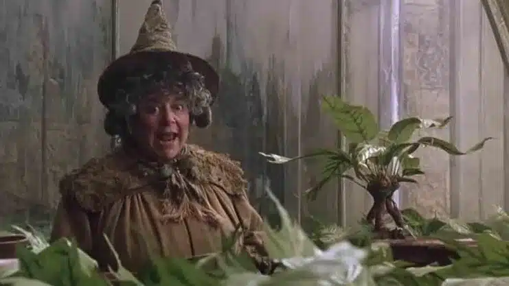 agatha: coven of chaos, Marvel Studios, MCU, Miriam Margolyes