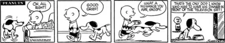 Charles Schulz, Character Evolution, The Peanuts Story, Snoopy and Charlie Brown