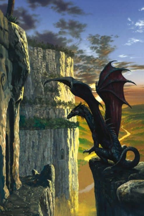 el libro del dragon