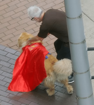 David Corenswet Superman, James Gunn Superman, Krypto Superman movie, Superman 2025, Superman set photos