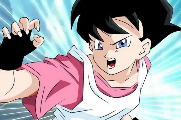 Chi-Chi, Dragon Ball, Number 18, Videl